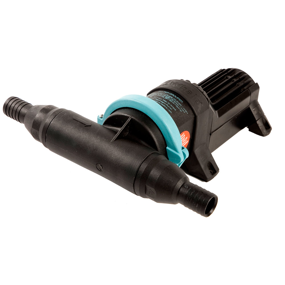 Whale Gulper Grouper Fishbox Evacuation Pump 12V BP4572